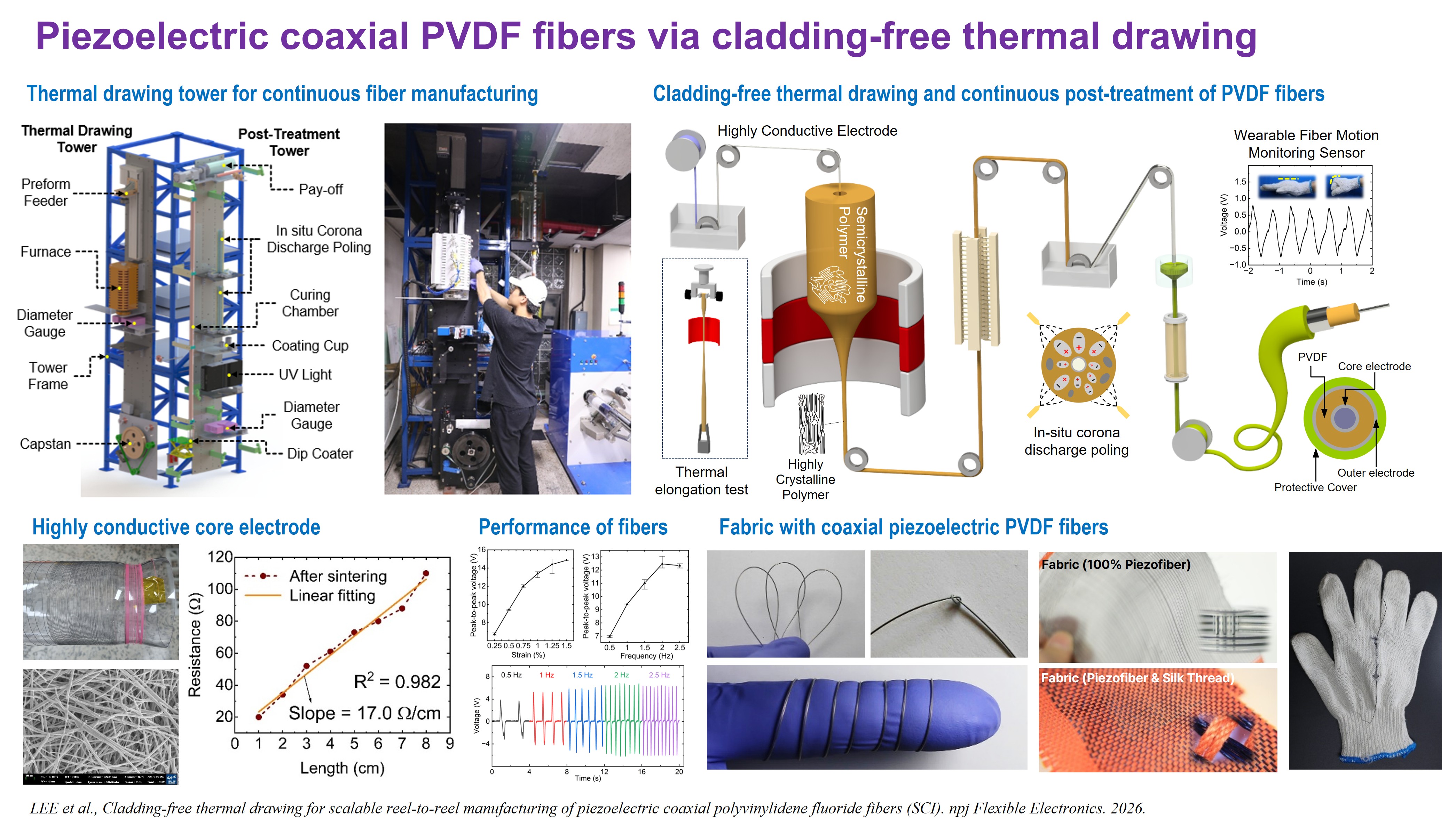 Piezoelectric coaxial PVDF fibers via cladding-free thermal drawing.